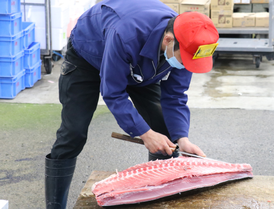 魚をさばいている写真